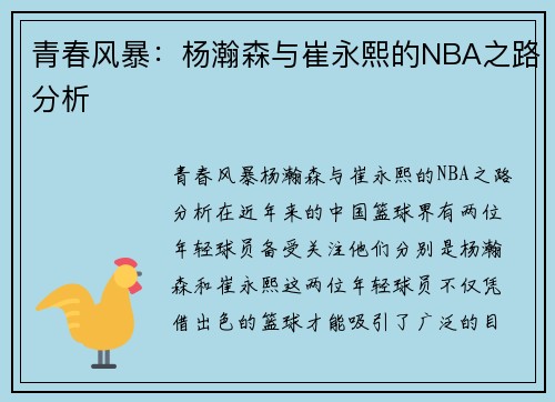 青春风暴：杨瀚森与崔永熙的NBA之路分析