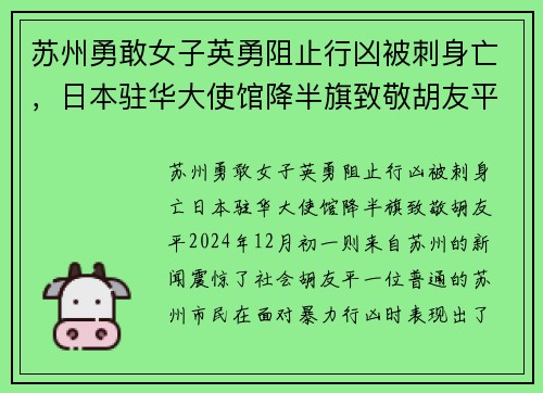 苏州勇敢女子英勇阻止行凶被刺身亡，日本驻华大使馆降半旗致敬胡友平
